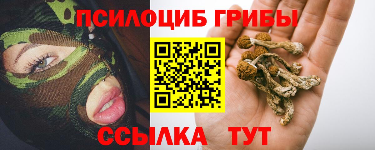 Псилоцибиновые грибы MAGIC MUSHROOMS  Вход с VPN  Стрежевой 